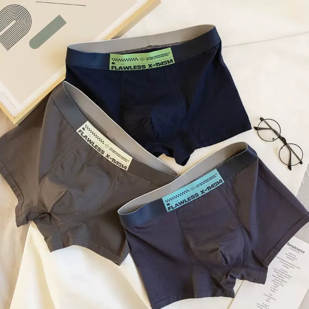 BOXERS HOMME FLAWLESS 2025 - BF