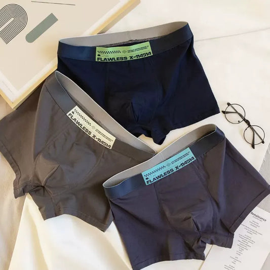 BOXERS HOMME FLAWLESS 2025 - BF